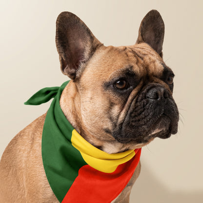 Bandana “Drapeau”